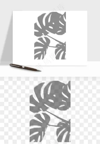 阴影植物窗户投影免抠元素