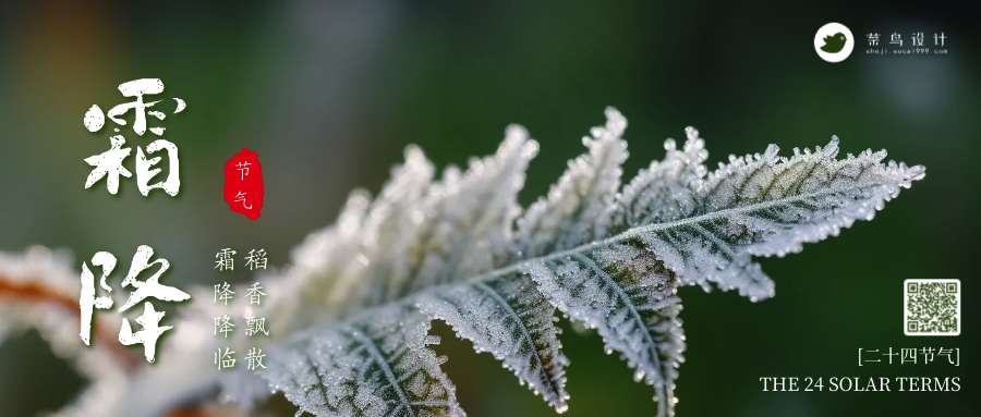 霜降公众号首图