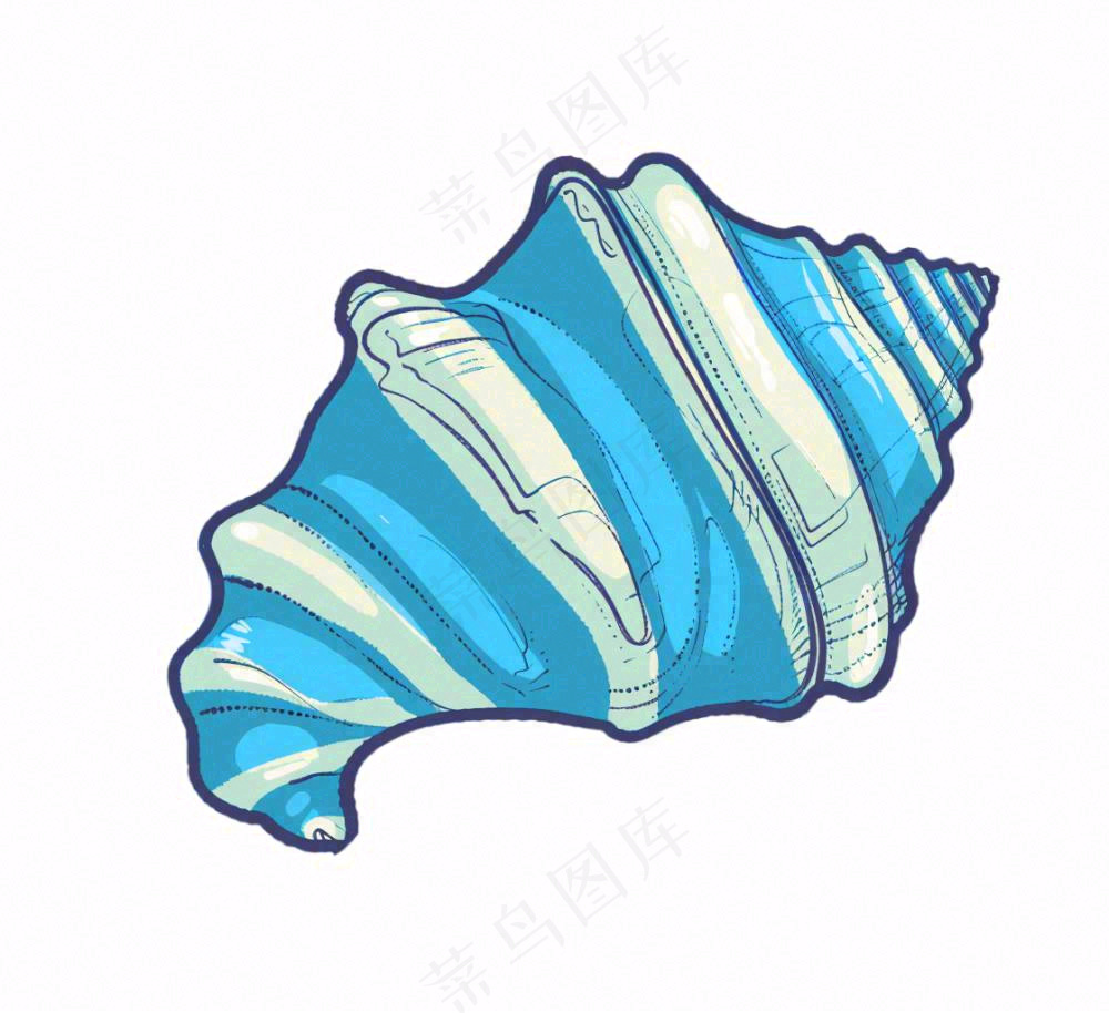 海洋贝壳海螺生物卡通插画免抠