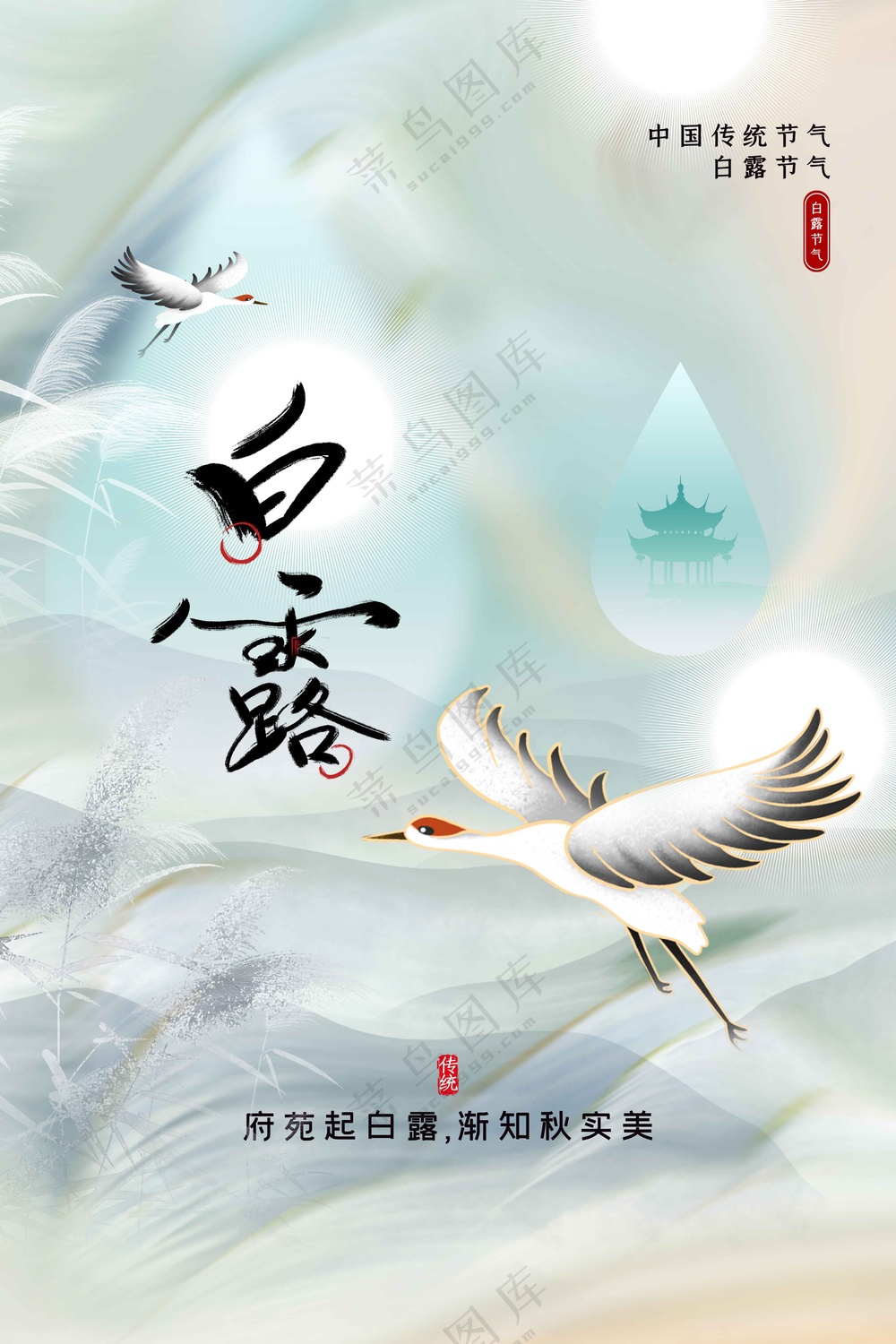 白露节气传统海报