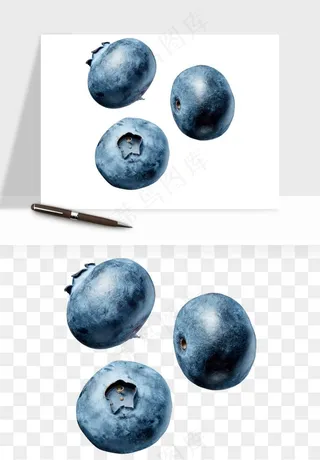 蓝莓水果png免抠