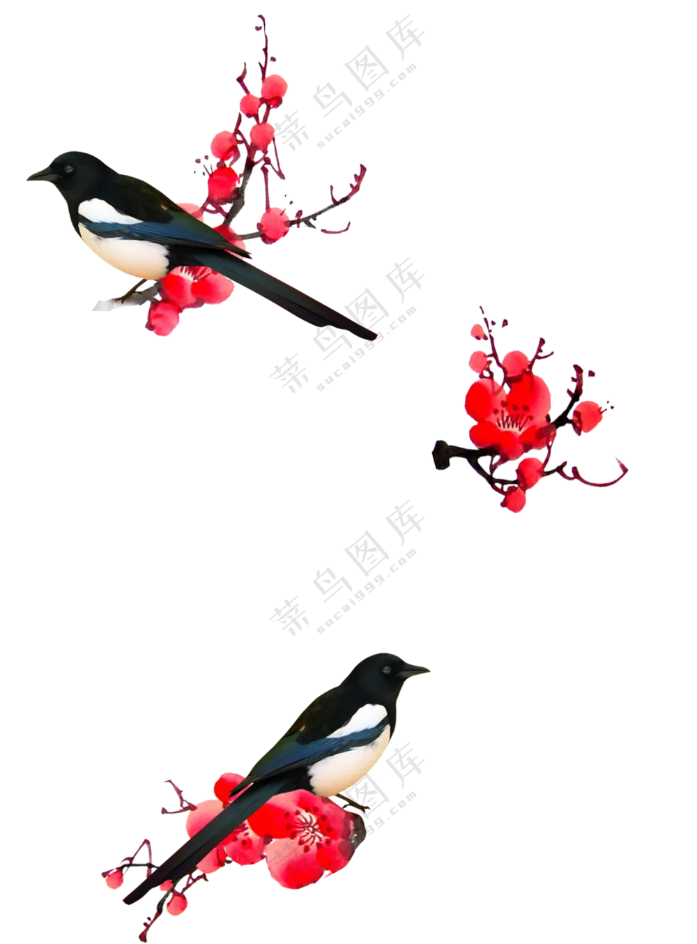 梅花树梢上的喜鹊元素免抠图片素材
