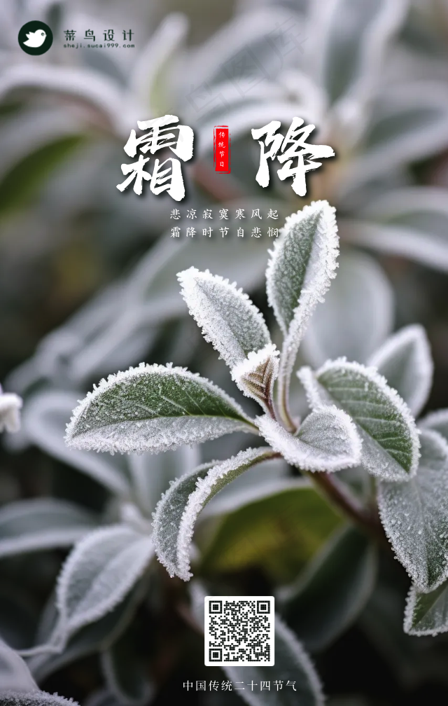 霜降手机海报