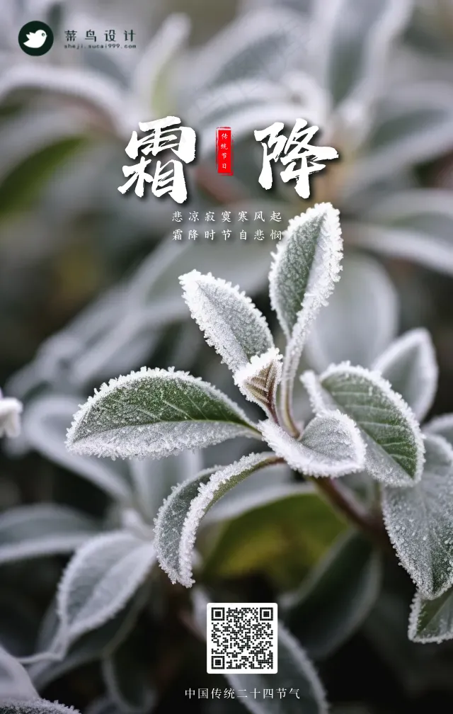 霜降手机海报