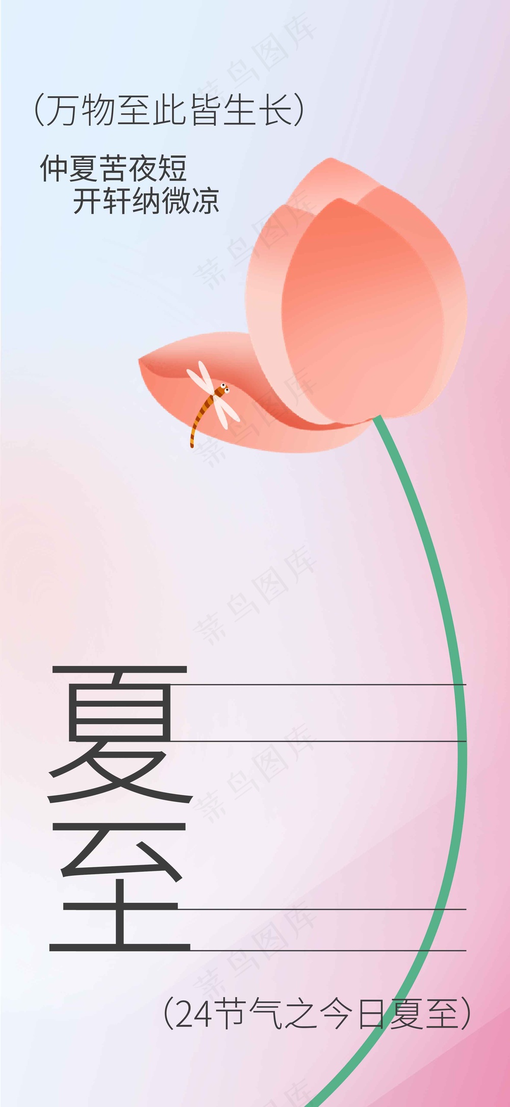 简约夏至节气传统海报