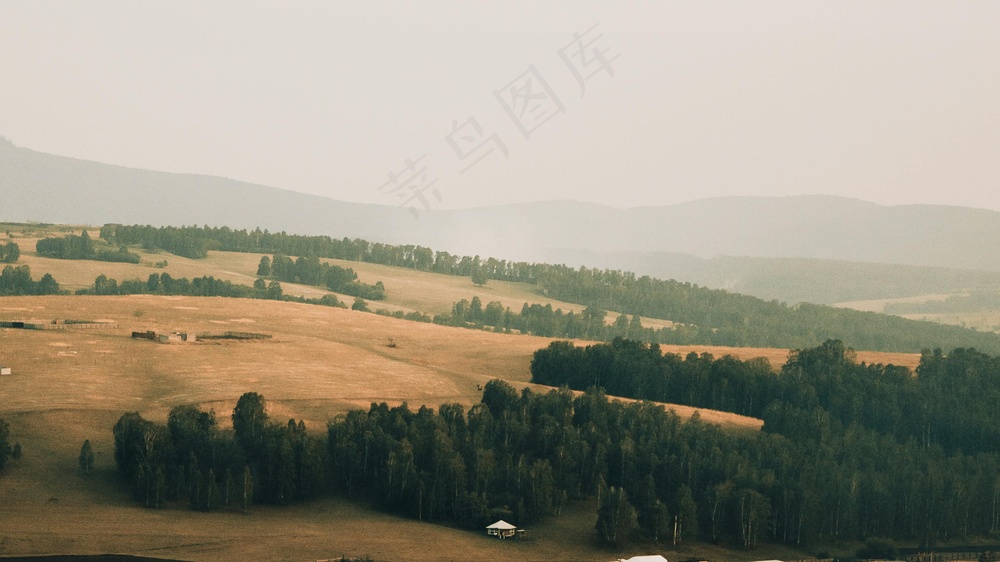 晨雾轻抚，田园诗画