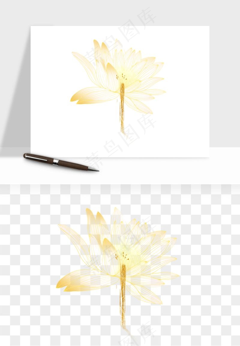 线描荷花莲花线条png免抠