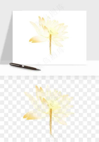 线描荷花莲花线条png免抠