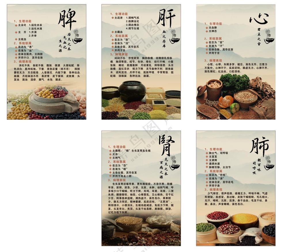 心肝脾肺肾