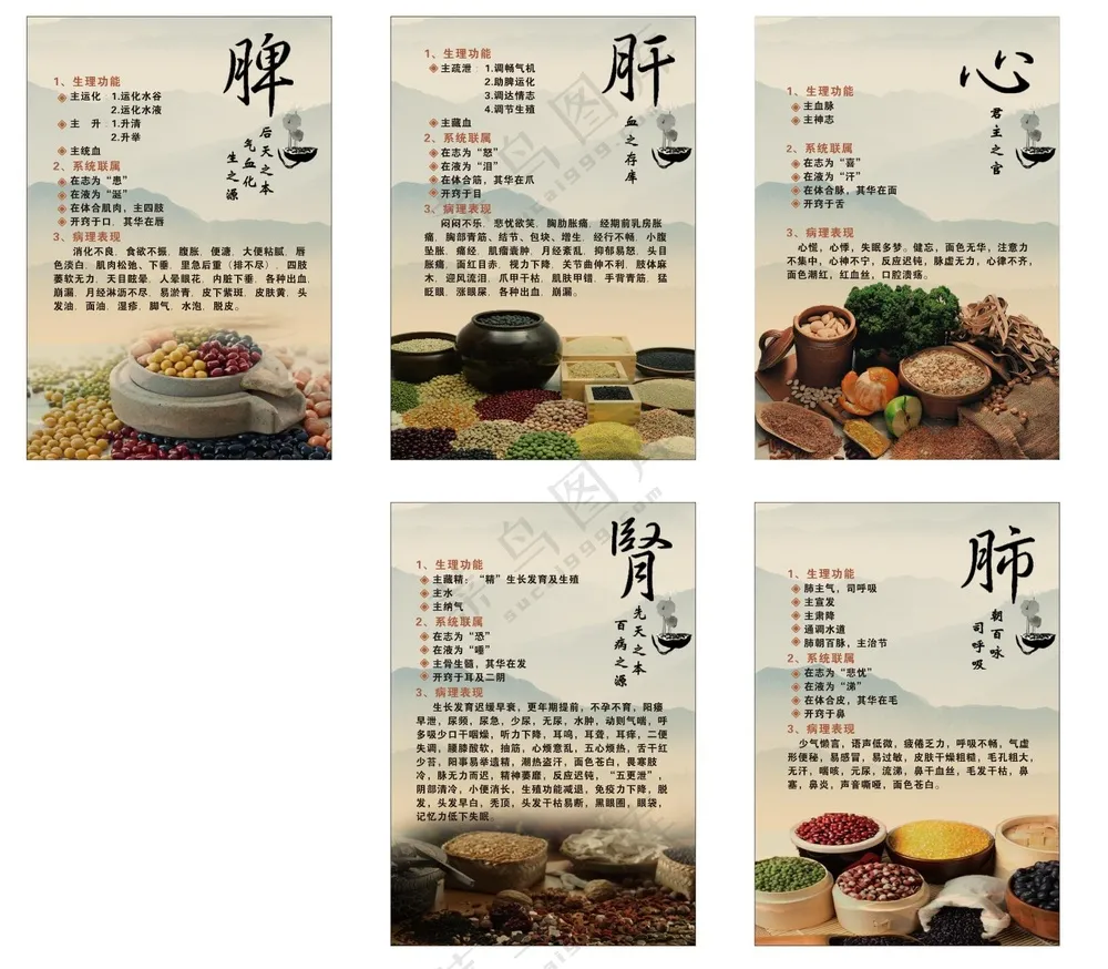 心肝脾肺肾