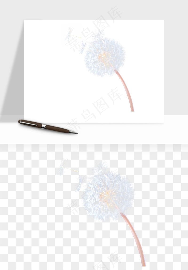 唯美蒲公英种子png免抠