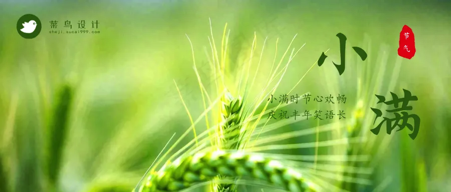 小满公众号首图