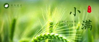 小满公众号首图