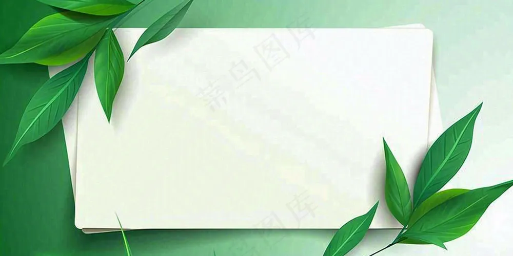 绿叶粽叶绿色边框白色信封端午节插画背景