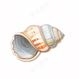 海洋贝壳海螺生物卡通插画免抠