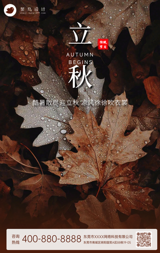 立秋手机海报