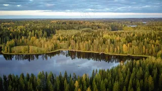 秋日森林湖韵：航拍色彩画卷