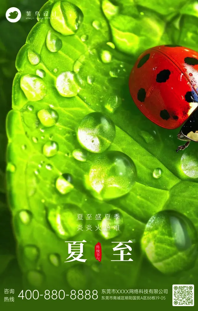 夏至手机海报