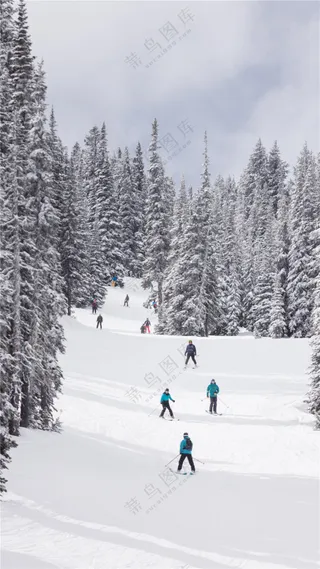 冬季雪地滑雪