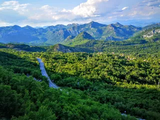 绿意盎然的山谷道路