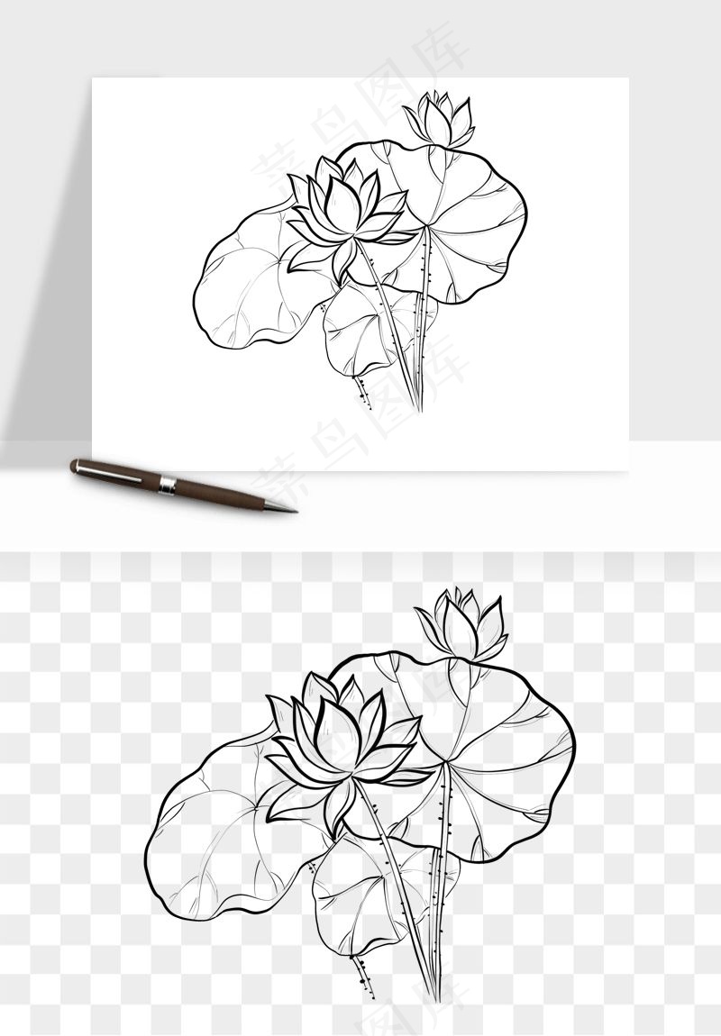 线描荷花莲花线条png免抠