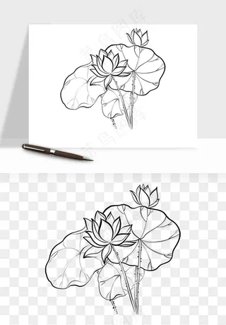 线描荷花莲花线条png免抠