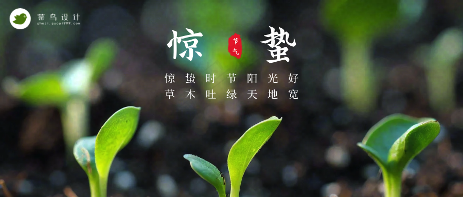 惊蛰公众号首图