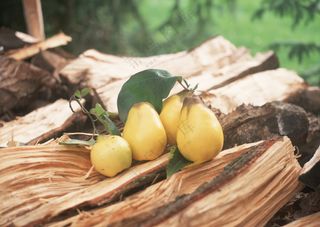 新鲜水果摄影图片 (49)