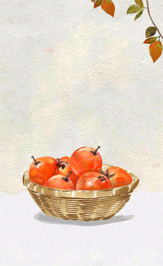 秋冬柿子树下的柿子水果霜降插画背景