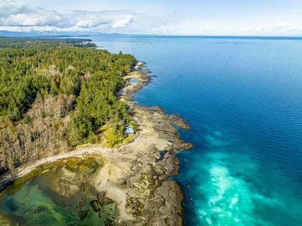 翠绿海岸线上的宁静海湾