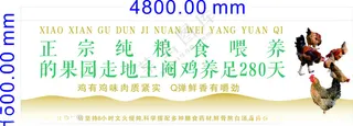 果园鸡农家乐广告设计海报