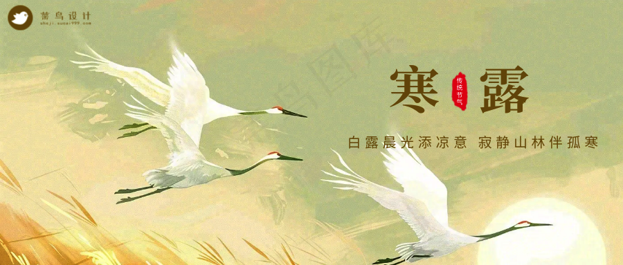 寒露公众号首图