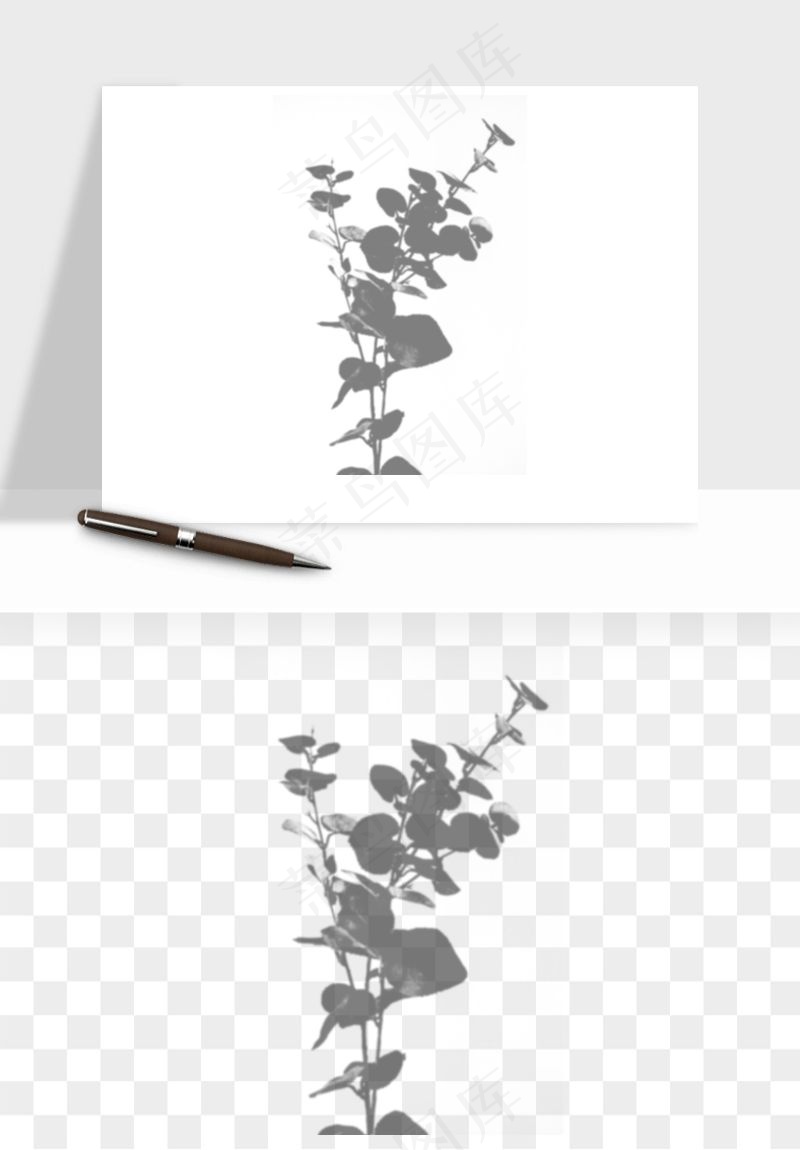阴影植物窗户投影免抠元素