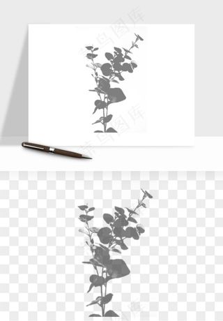 阴影植物窗户投影免抠元素