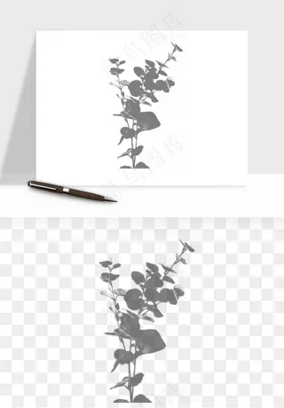 阴影植物窗户投影免抠元素