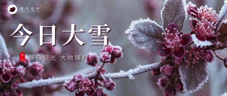 大雪公众号首图