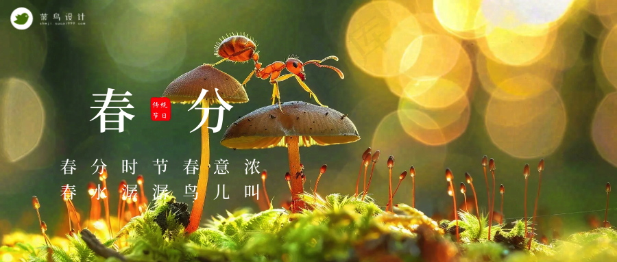 春分公众号首图