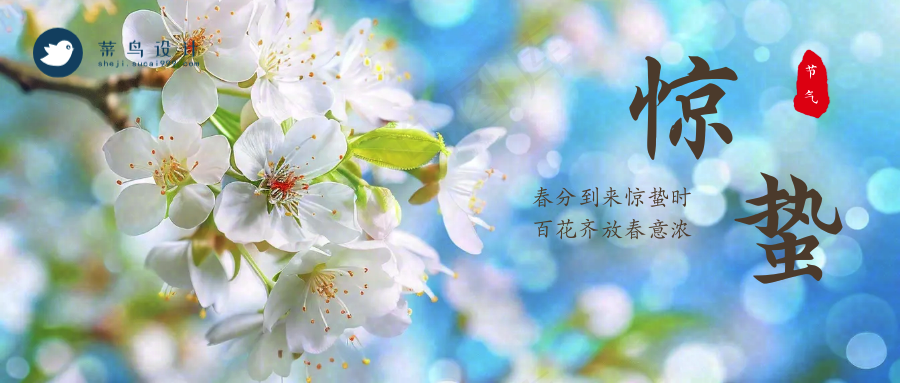 惊蛰公众号首图