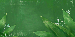 端午佳节竹子插画中国风绿色清雅静背景