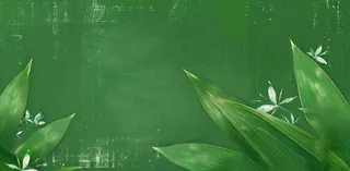 端午佳节竹子插画中国风绿色清雅静背景