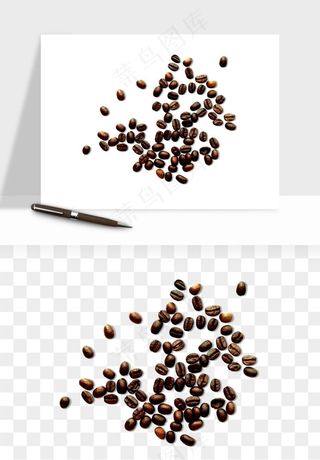 咖啡豆png免抠