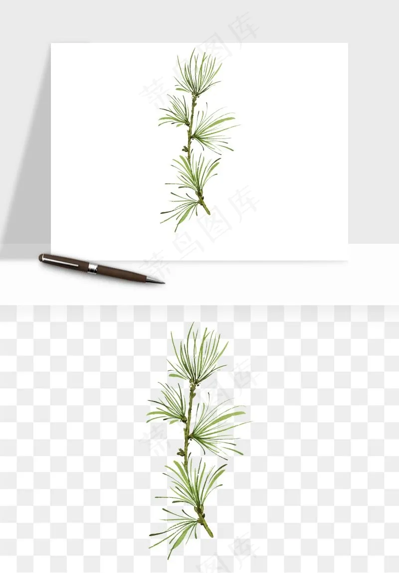 清新手绘植物png免抠