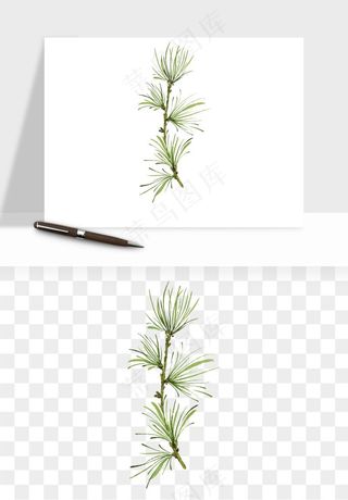 清新手绘植物png免抠