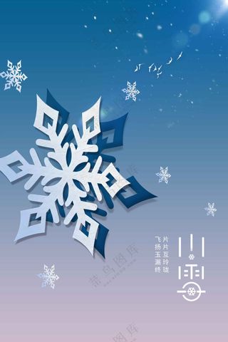 插画雪花小雪节气传统海报
