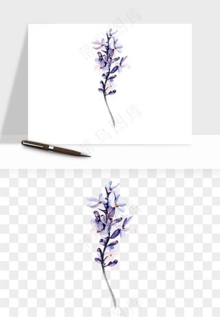 水彩复古植物花卉png免抠