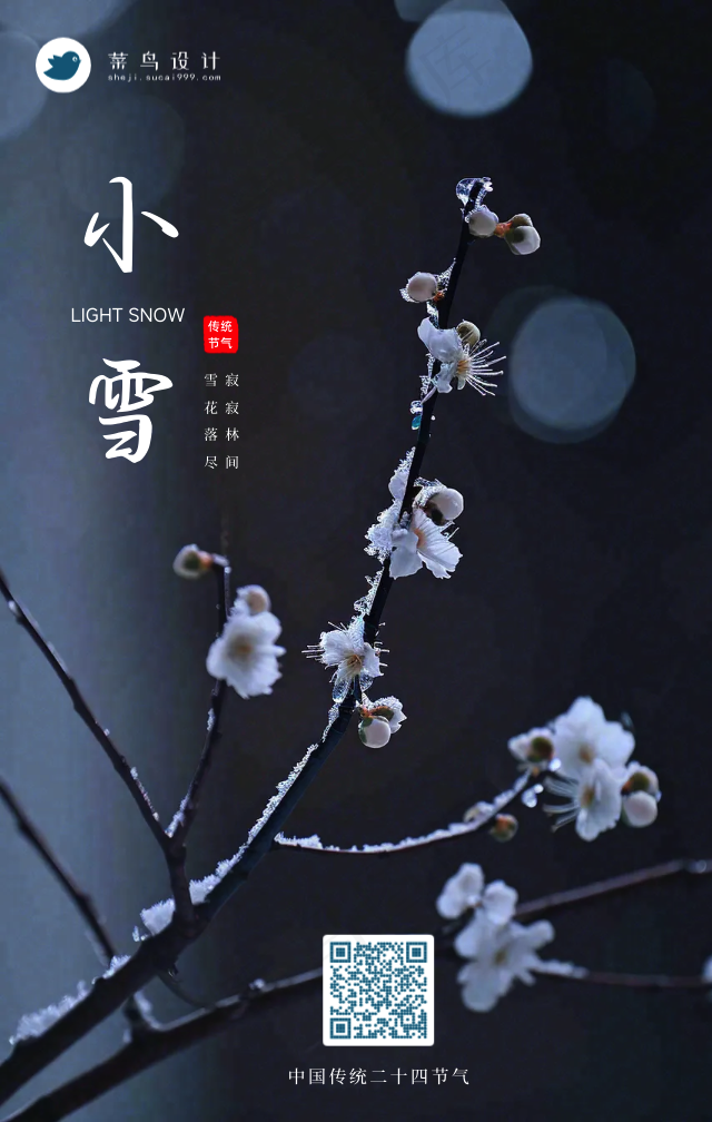 小雪手机海报