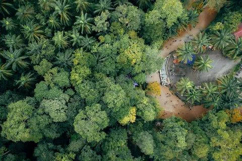 绿野仙踪:航拍热带风情 绿野仙踪:航拍热带风情