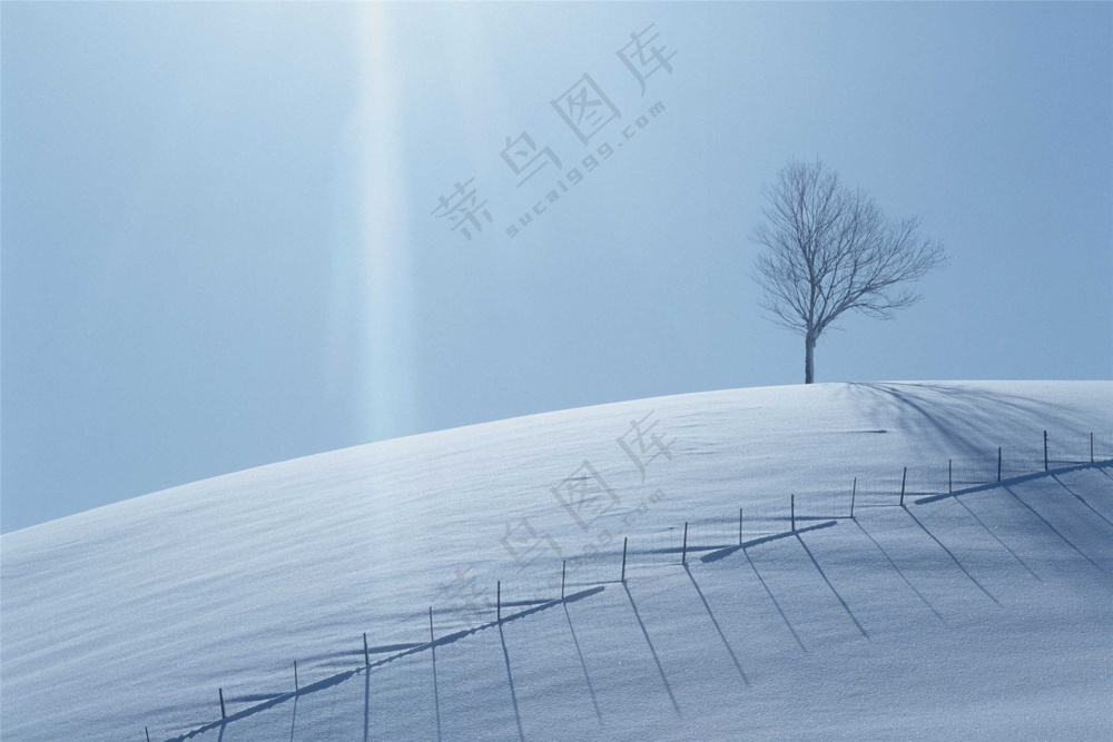 冰天雪地图片