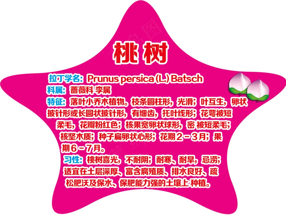 五角星 桃树树牌
