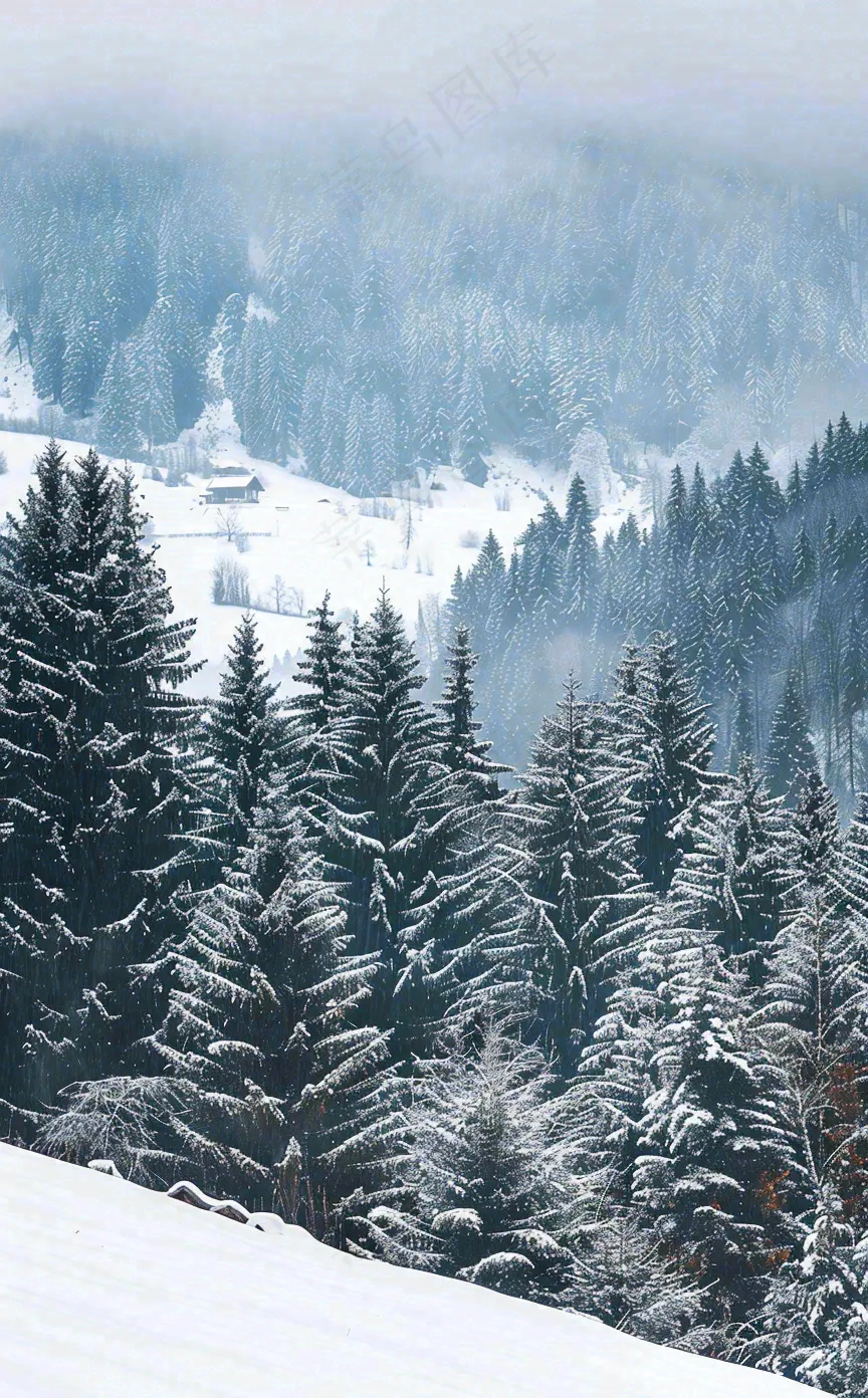 冬天寒冷白雪结冰大寒摄影图